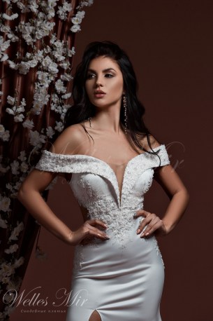 Wedding dresses Shine Collection 2019 549-2