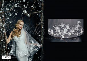 Veils Shine Veils 2019 F-053-1