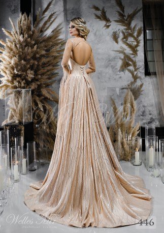Wedding dresses Unique Perfection 2018 446-2
