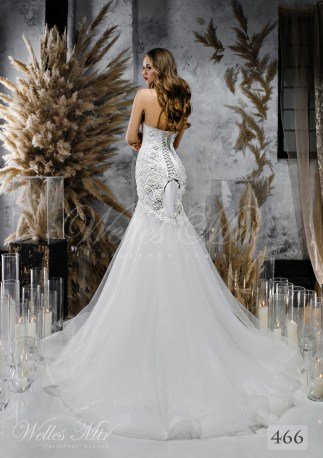 Wedding dresses Unique Perfection 2018 466-2
